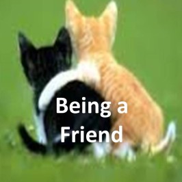 Being a Friend