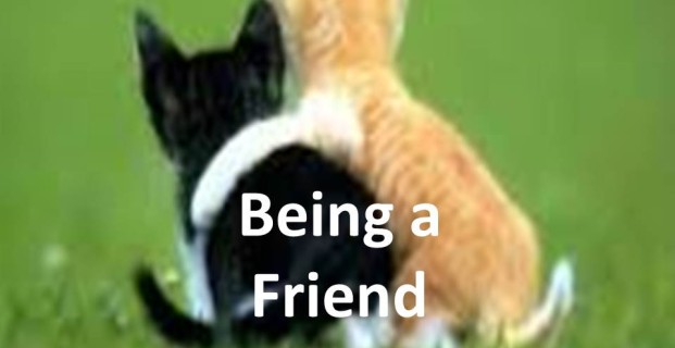 Being a Friend