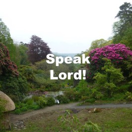 Speak Lord!