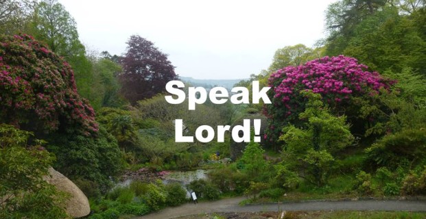 Speak Lord!