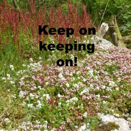 Keep on – keeping on!