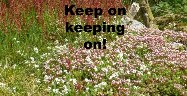 Keep on – keeping on!