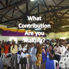 What Contribution Are You Making?