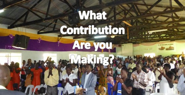What Contribution Are You Making?