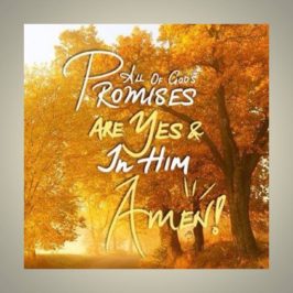 His Promise!