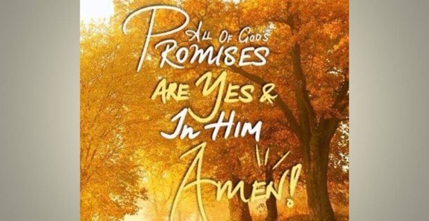 His Promise!