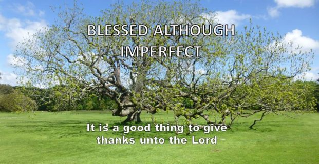 Blessed although Imperfect!