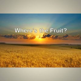 Where’s the Fruit?