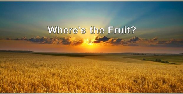 Where’s the Fruit?