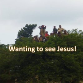 Wanting to see Jesus!