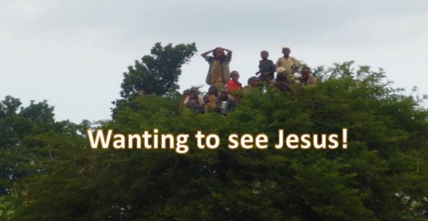 Wanting to see Jesus!