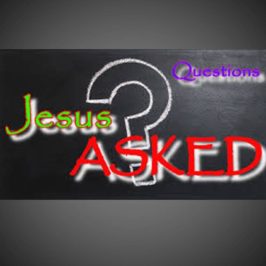 Questions Jesus Asked (P3)