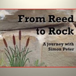 From Reed to Rock