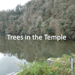 Trees in the Temple