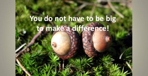 You do not have to be big to make a difference!