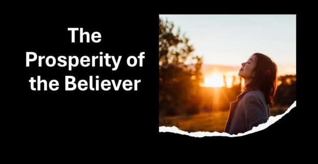 The Prosperity of the Believer
