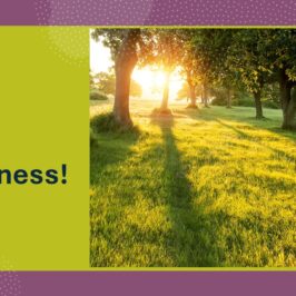 God’s Goodness!